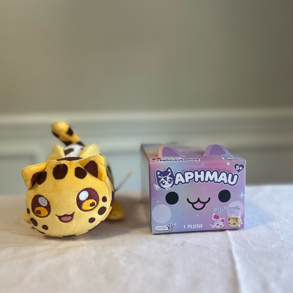 New with Box! Aphmau Cookie Cat from Litter 3